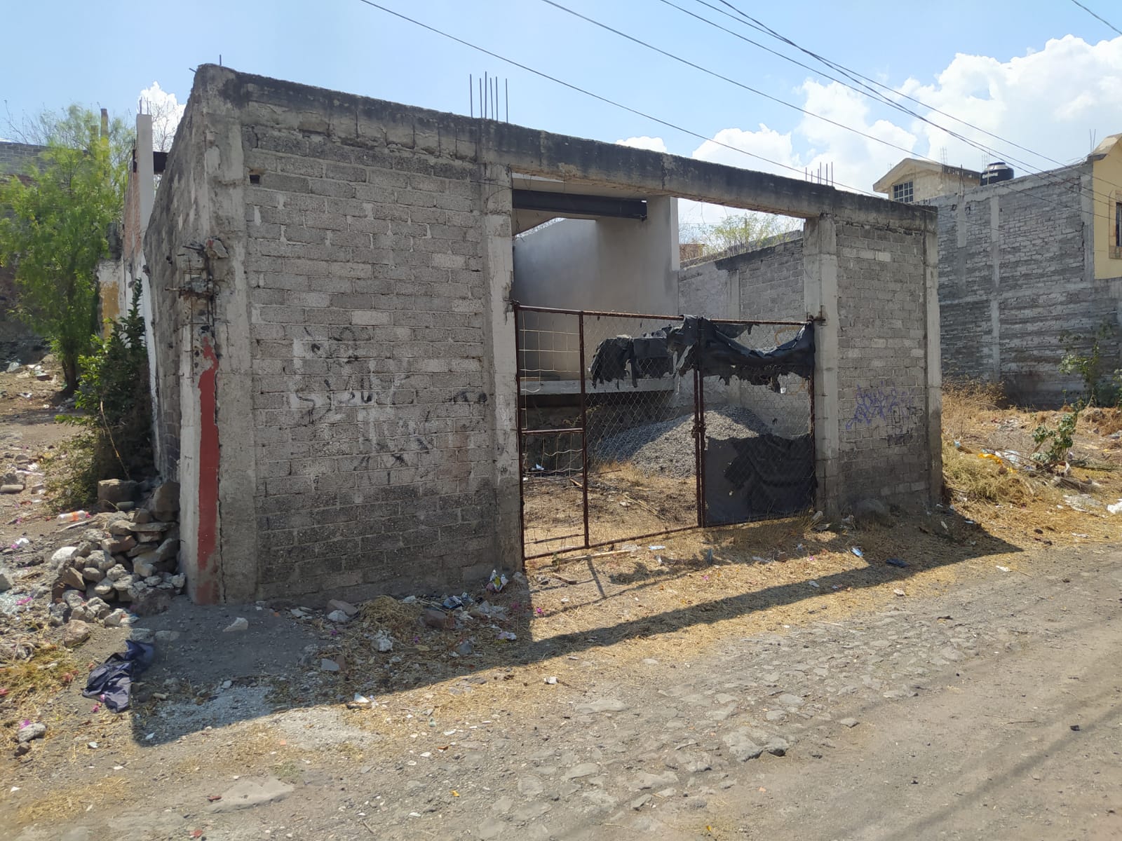 Imagen 2
